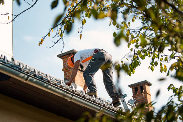 Best Roof Maintenance Services  in Oskaloosa, KS