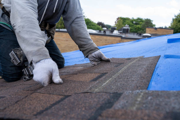 Best Commercial Roofing Services  in Oskaloosa, KS