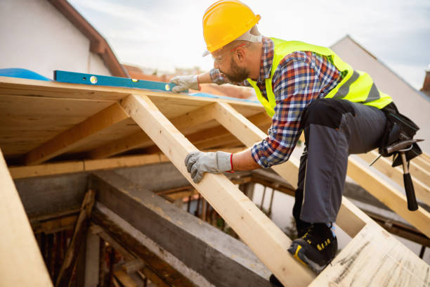 Best Roof Gutter Cleaning  in Oskaloosa, KS