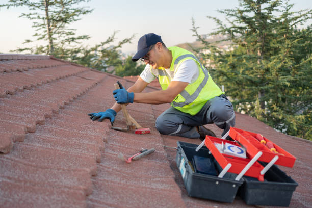 Best Metal Roofing Contractor  in Oskaloosa, KS